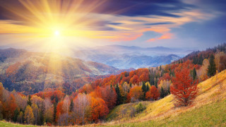 Sunset mountain range colorful trees 2 - a bright sun in the background free wallpaper