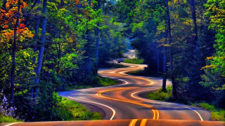 Psychedelic curved road trees night - a yellow line free wallpaper