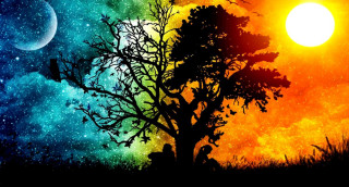 Tree rainbow sky stars full - mystical free wallpaper