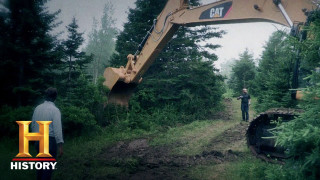 Man forest bulldozer tree night - a forest next free wallpaper