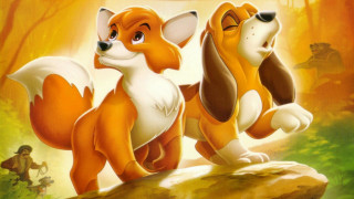 Cartoon fox dog rock woods - a man in the background free wallpaper