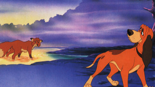 Dog cat lion mouse scene - movie scene free wallpaper