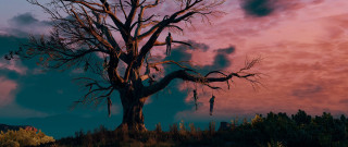 Leafless tree pink blue sky - realistic lighting free wallpaper