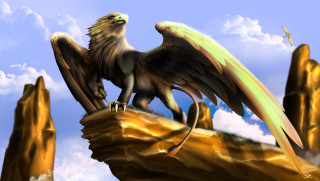 Bird wings rock sky clouds - the branch free wallpaper