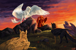 Bird flying bird lying ground - a hill free wallpaper
