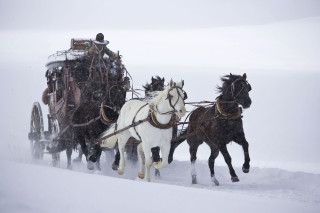 Horse carriage snow field matte - movie still free wallpaper