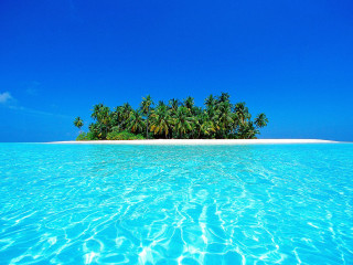 Island palm trees ocean beach - a clear blue sky above free wallpaper
