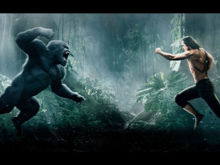 Man jungle gorilla background night - alex petruk ape free wallpaper