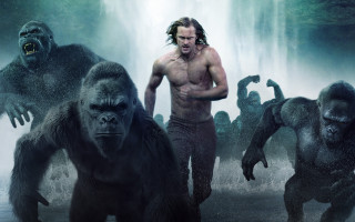 Man wet suit gorillas waterfall - a wet suit free wallpaper