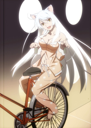 Woman bike cat wheelie cartoon - a woman riding free wallpaper