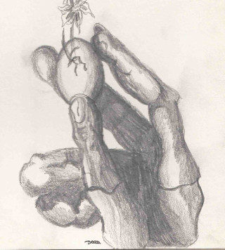 Hand holding flower in palm - a pencil sketch free wallpaper