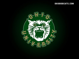 Green white logo cat oh - face and the words free wallpaper