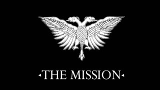 White bird black background the - erlund hudson free wallpaper