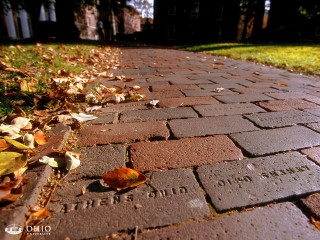 Brick path leaf yard house - a house in the background free wallpaper