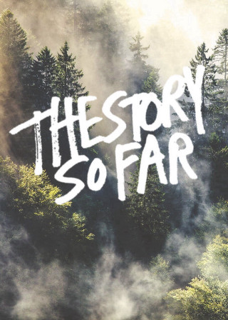 Forest the story so far - a picture of a forest free wallpaper