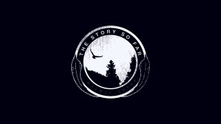 Black white bird flying forest - sots art free wallpaper