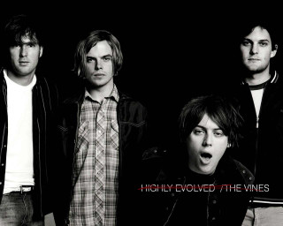 Young men black background vines - a group free wallpaper