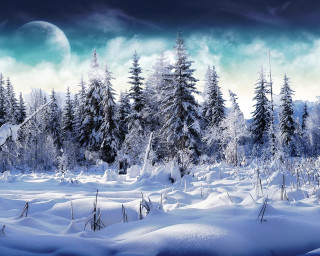 Snowy landscape trees moon sky 3 - full free wallpaper