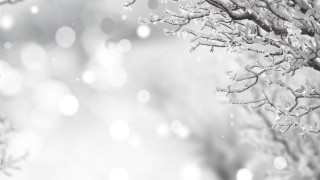 Snowy moonlit branch bokeh winter - an ambient occlusion free wallpaper