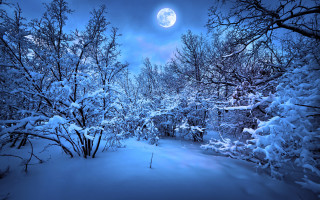 Snowy path forest full moon - full free wallpaper