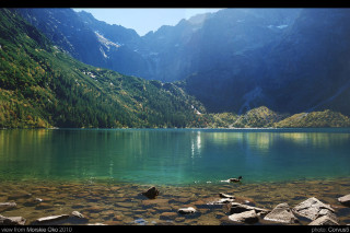 Lake mountains rocks bird shore - a mountain range in the distance free wallpaper