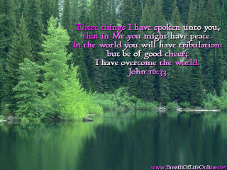 Lake trees quote john 6 - cheerful free wallpaper