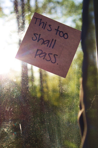 Sign window sticker says - a sticker free wallpaper