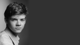 Young man tie shirt posing - a tie and a shirt free wallpaper