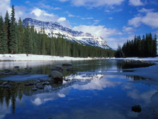 Mountain reflection lake snow evergreen - a still lake free wallpaper