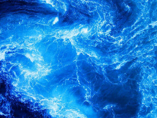 Blue ocean waves bird flying - a blue ocean free wallpaper