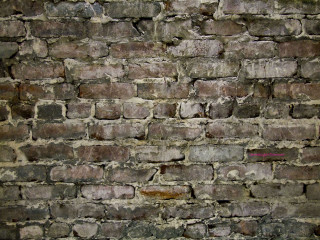 Brick wall red white sign - blunt free wallpaper