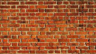 Brick wall stop sign stop 2 - blunt free wallpaper