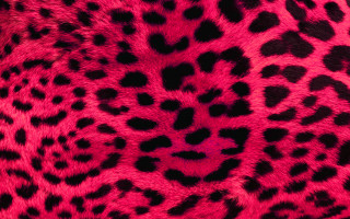 Pink black animal print furry - spot free wallpaper