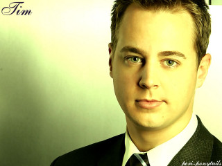 Man suit tie posing picture 38 - a white wall behind free wallpaper