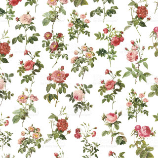 White background flower pattern royalty - a silk screen free wallpaper