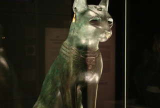 Cat statue woman collar collared - free dogs wallpaper