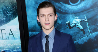 Young man suit tie shark - young free wallpaper