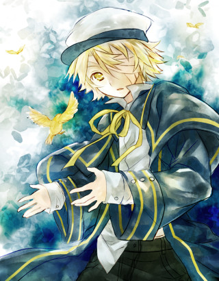 Man blue jacket hat bird - anime art free wallpaper