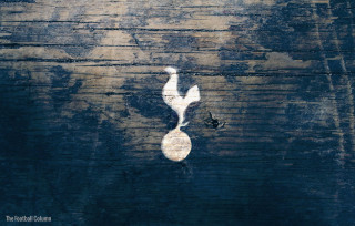 White bird flying wooden surface - temporary art free wallpaper
