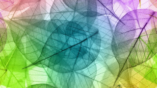 Colorful abstract background leaf structure - art green free wallpaper
