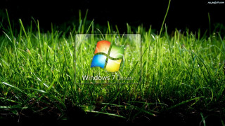 Windows 7 logo grass background - a window 7 logo free wallpaper