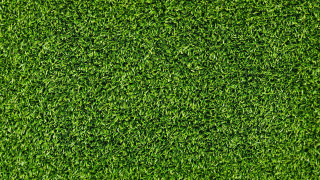 Green grass texture close up - floor free wallpaper