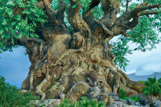 Tree large trunk elephant back - a large elephant free wallpaper