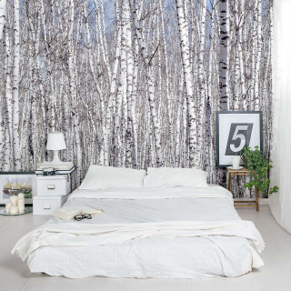Forest bedroom illustration monster girl - forest free wallpaper