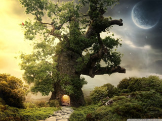 Tree door field grass rocks - matte fantasy painting free wallpaper for desktop