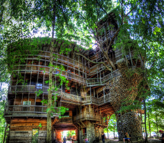Large tree house spiral staircase - ecological art free wallpaper