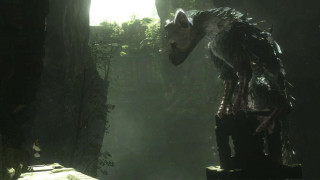 Creature dark forest building light - a creature free wallpaper