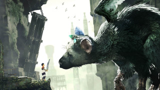 Monkey mohawk city person ledge - a monkey with free wallpaper