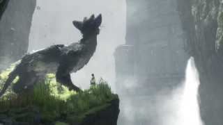 Man cliff giant animal forest - a waterfall in the background free wallpaper
