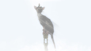 Bird pole snow head turned - beeple free wallpaper